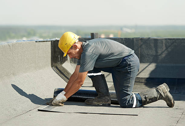 Best Home Insulation Services  in Patterson, CA