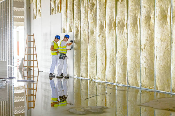 Best Insulation Repair Services  in Patterson, CA